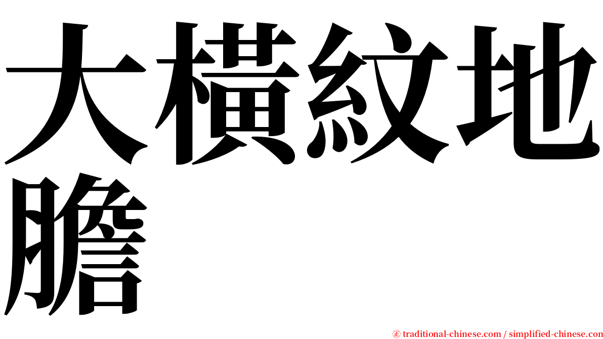 大橫紋地膽 serif font