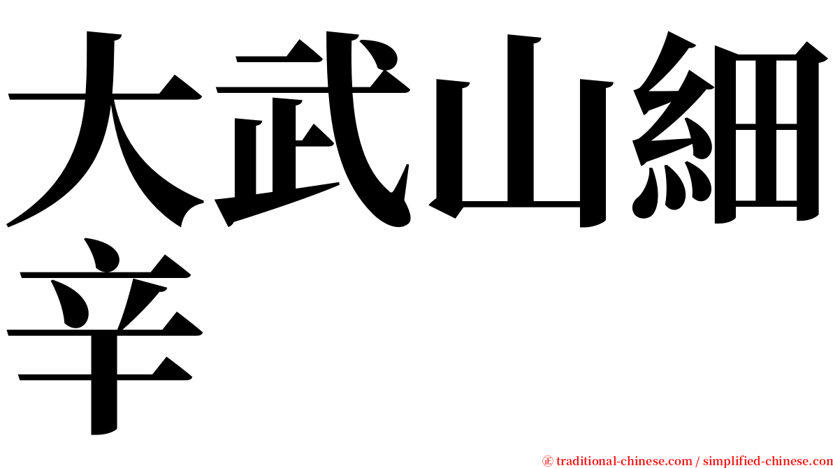 大武山細辛 serif font