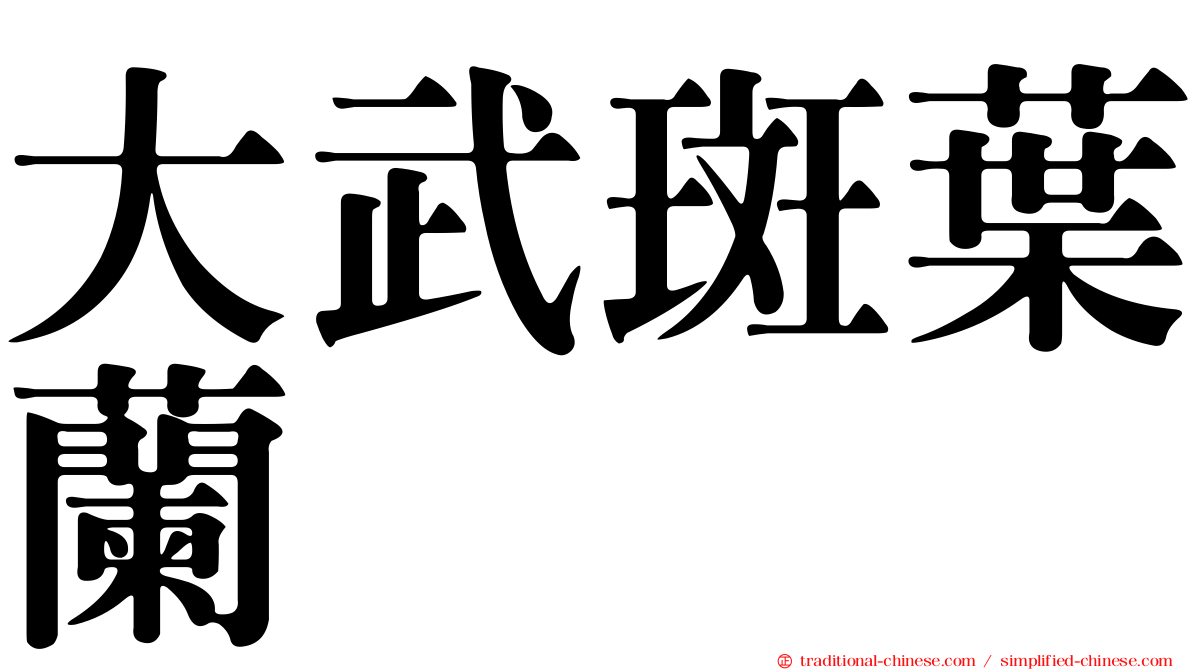 大武斑葉蘭