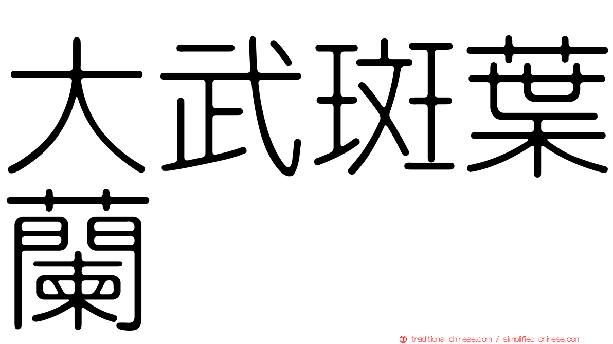 大武斑葉蘭