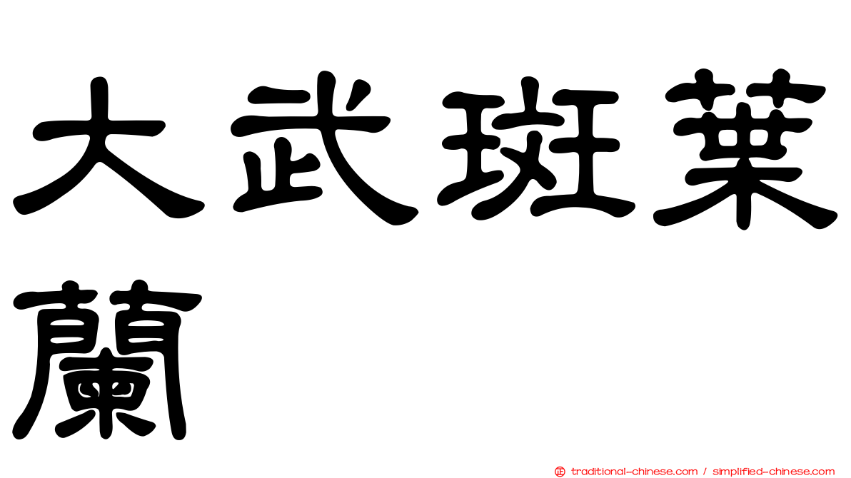 大武斑葉蘭