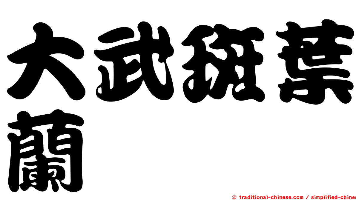 大武斑葉蘭