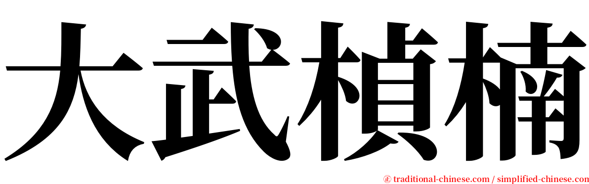 大武楨楠 serif font
