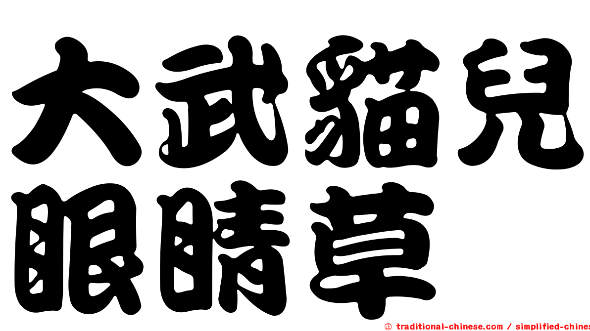 大武貓兒眼睛草