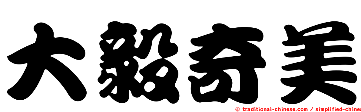 大毅奇美
