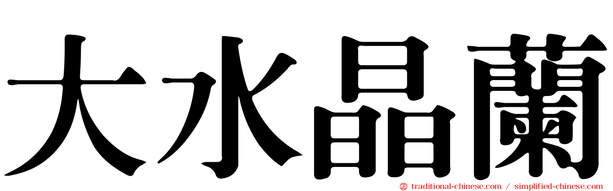 大水晶蘭