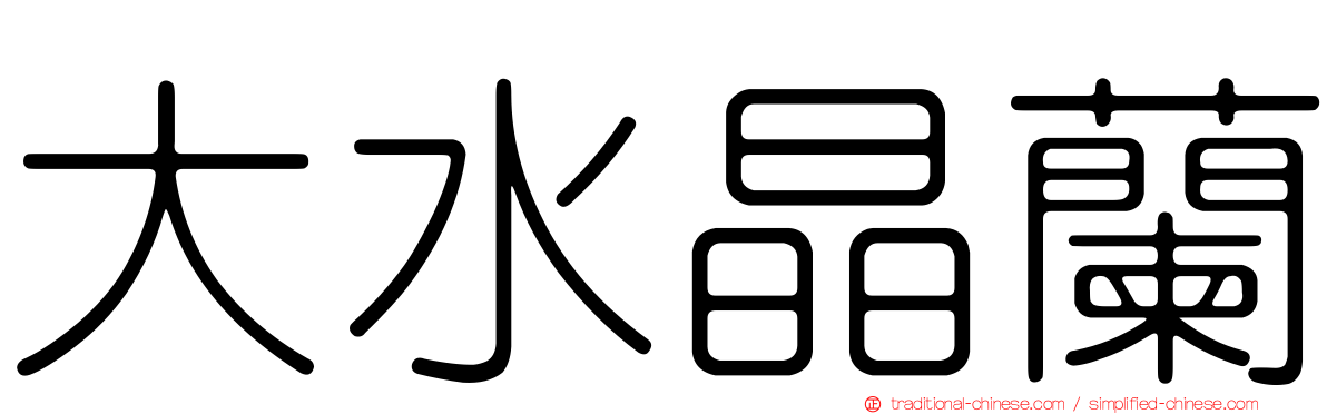 大水晶蘭