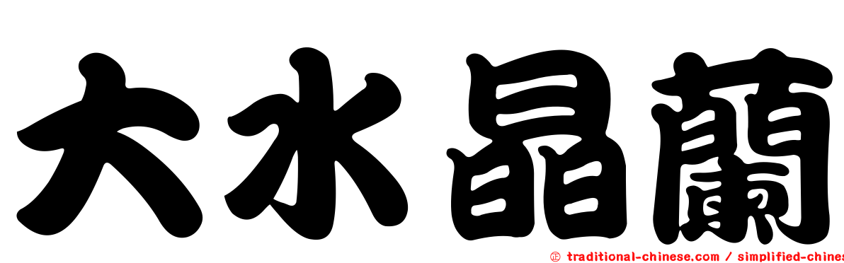 大水晶蘭