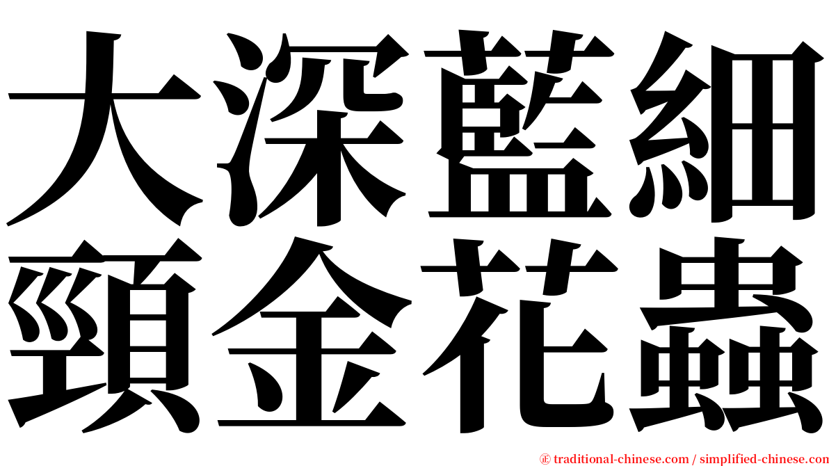 大深藍細頸金花蟲 serif font
