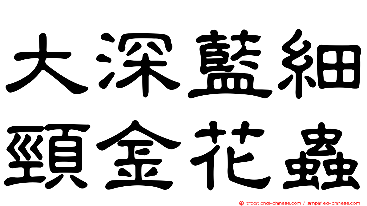 大深藍細頸金花蟲
