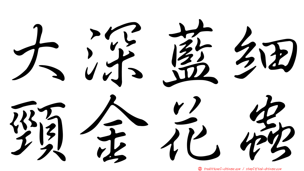 大深藍細頸金花蟲