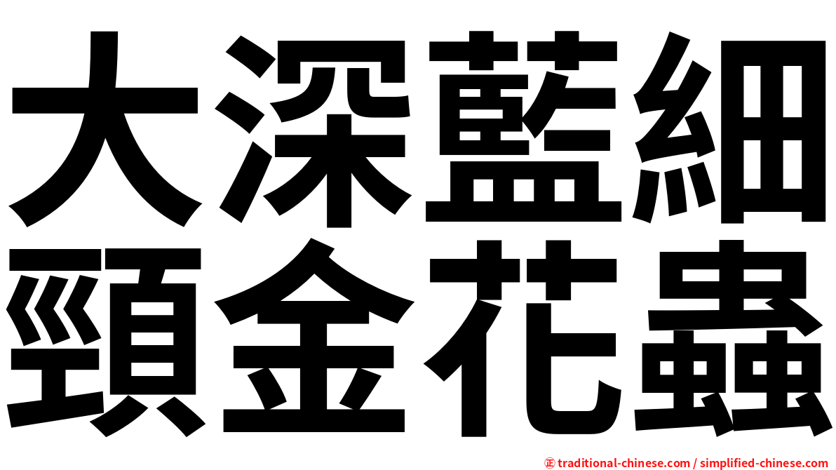 大深藍細頸金花蟲