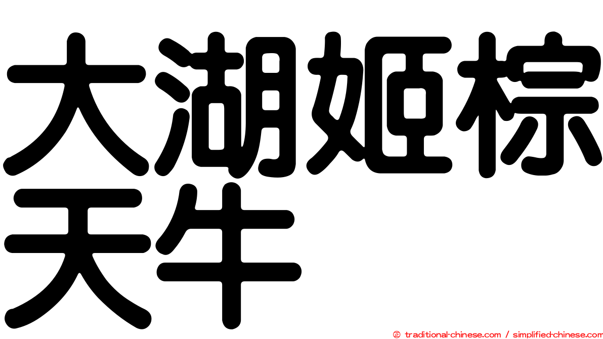 大湖姬棕天牛