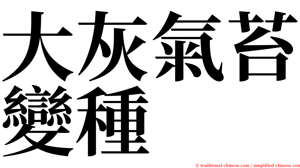 大灰氣苔變種 serif font