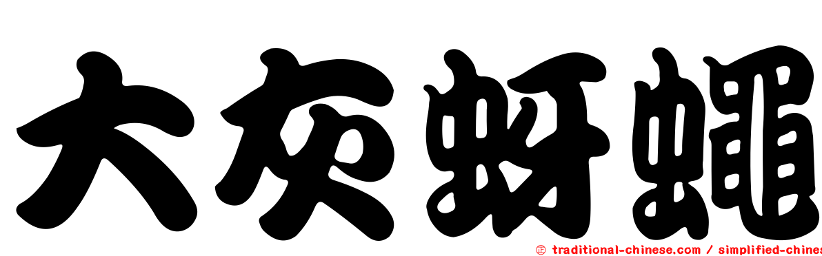 大灰蚜蠅
