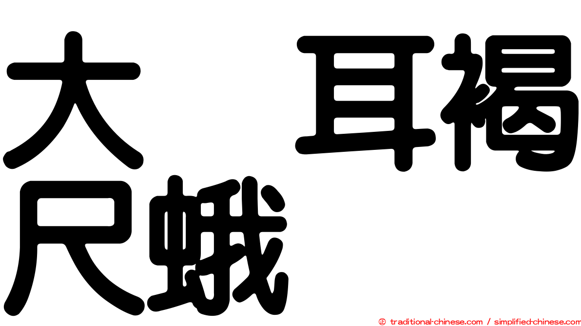 大烏耳褐尺蛾