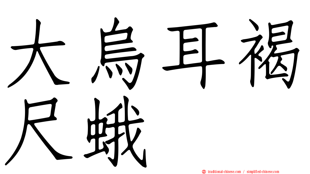 大烏耳褐尺蛾