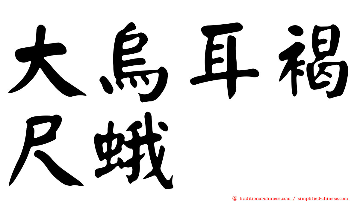 大烏耳褐尺蛾