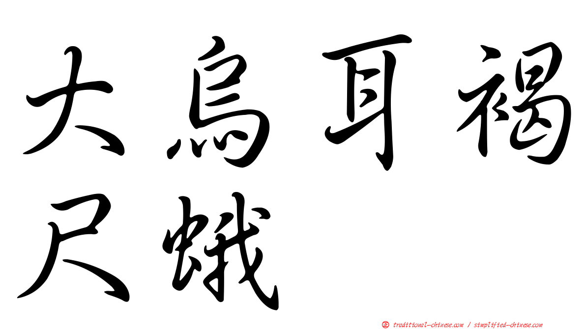 大烏耳褐尺蛾