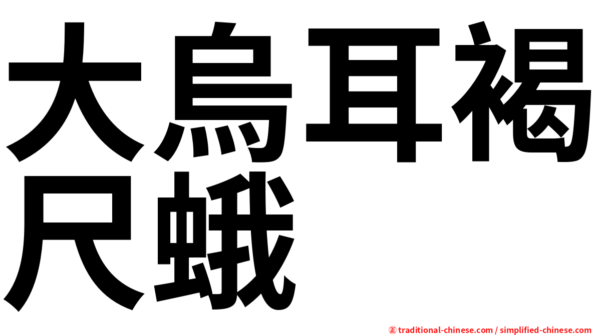 大烏耳褐尺蛾