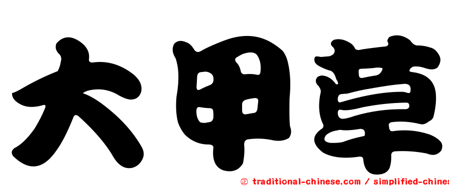 大甲草