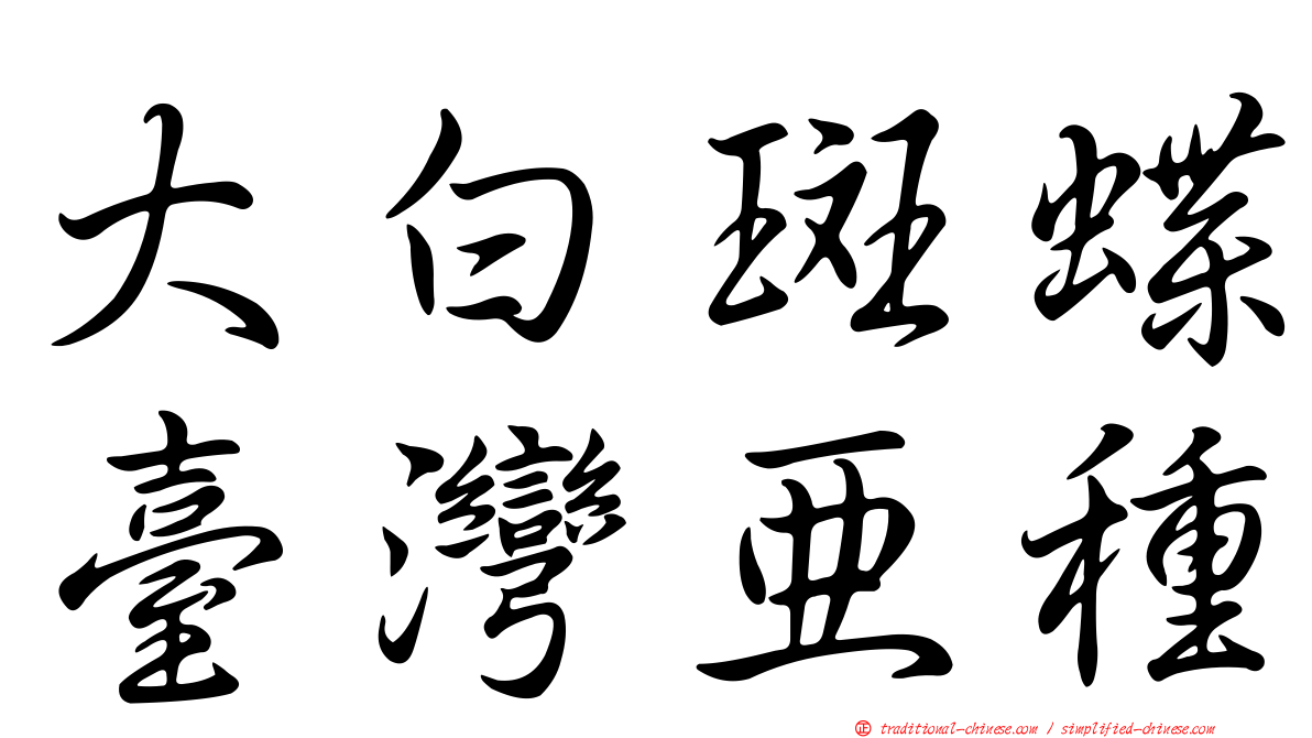 大白斑蝶臺灣亞種