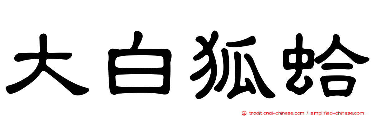 大白狐蛤
