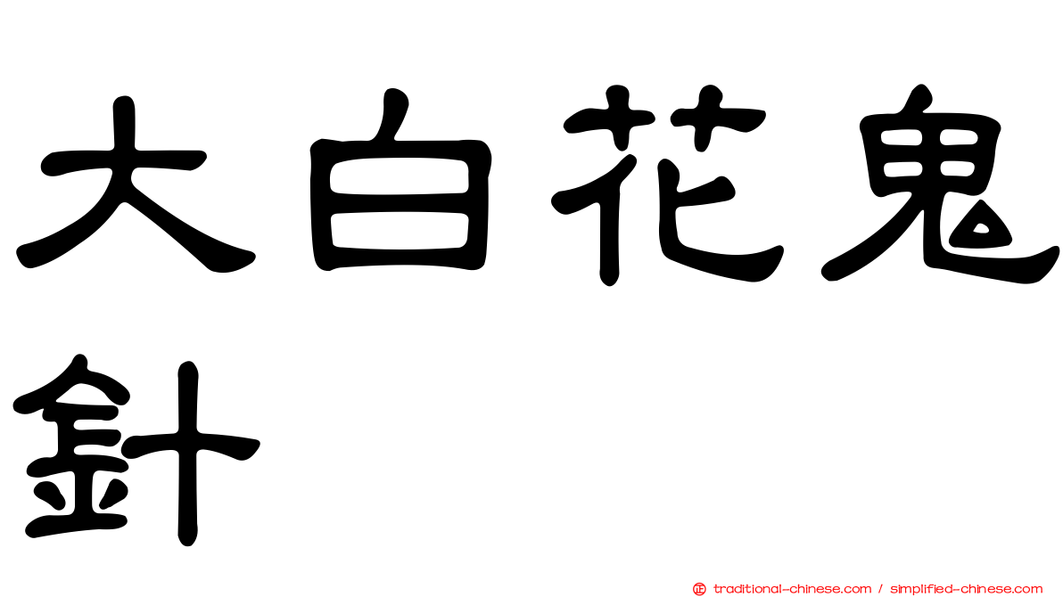 大白花鬼針