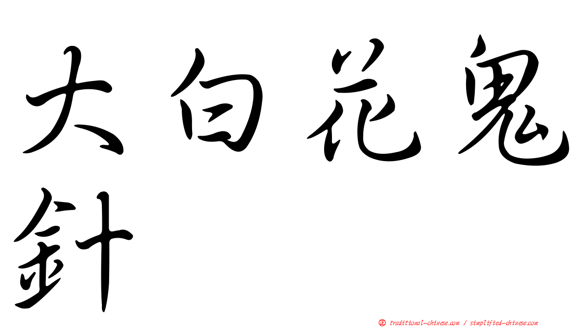 大白花鬼針