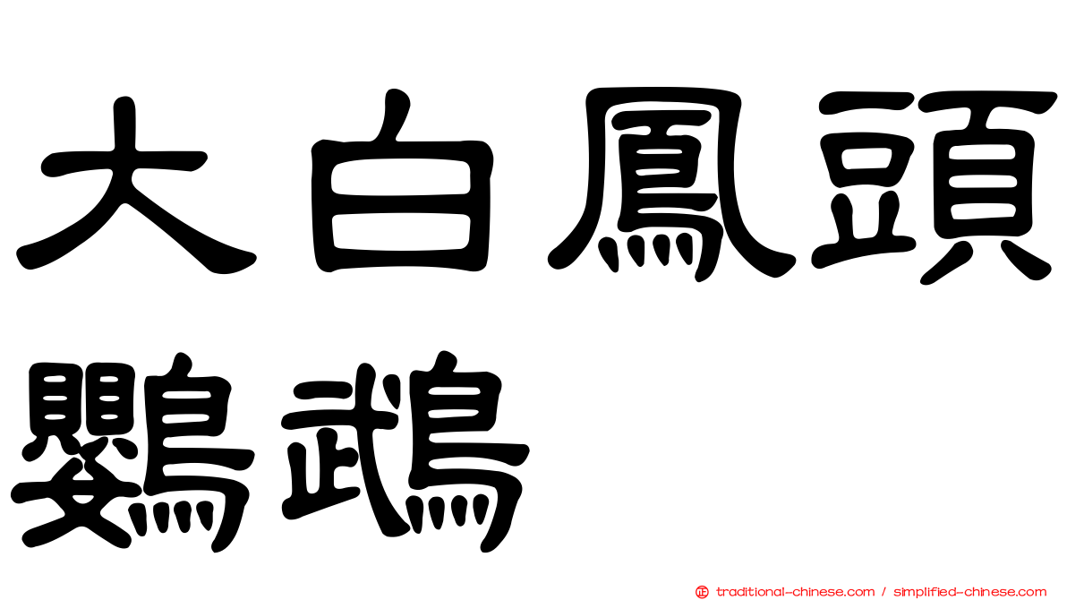 大白鳳頭鸚鵡