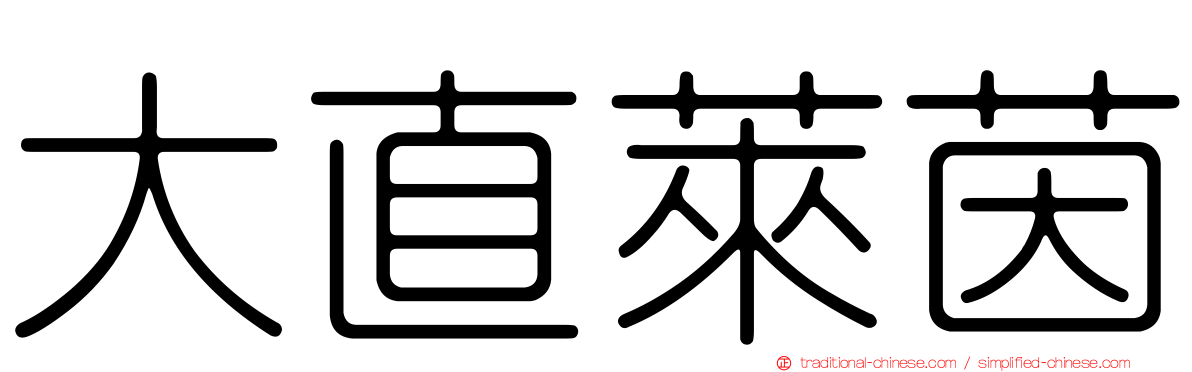 大直萊茵