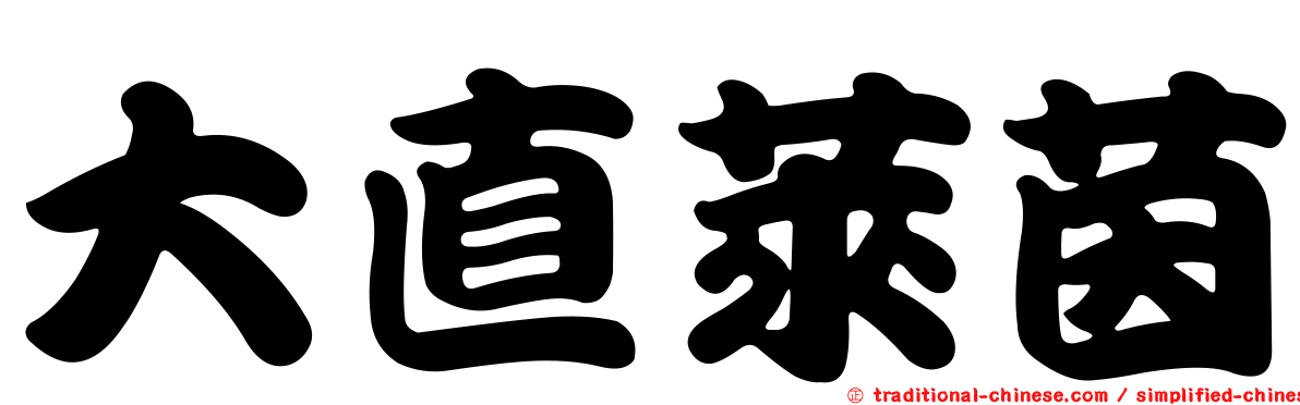 大直萊茵