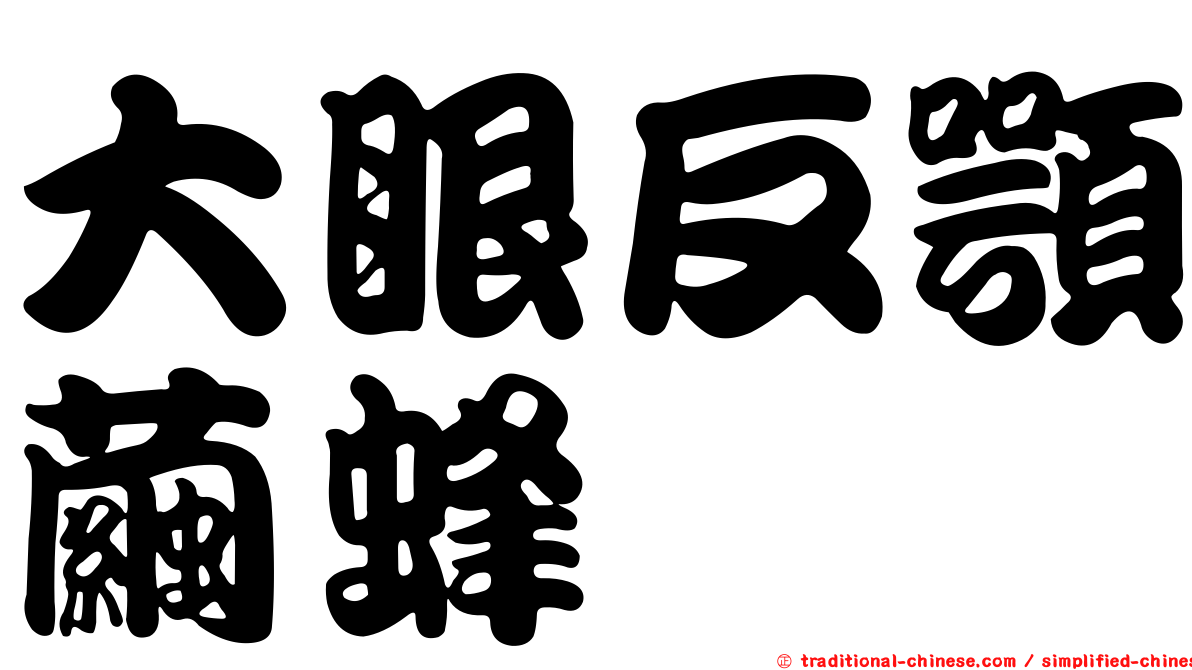大眼反顎繭蜂