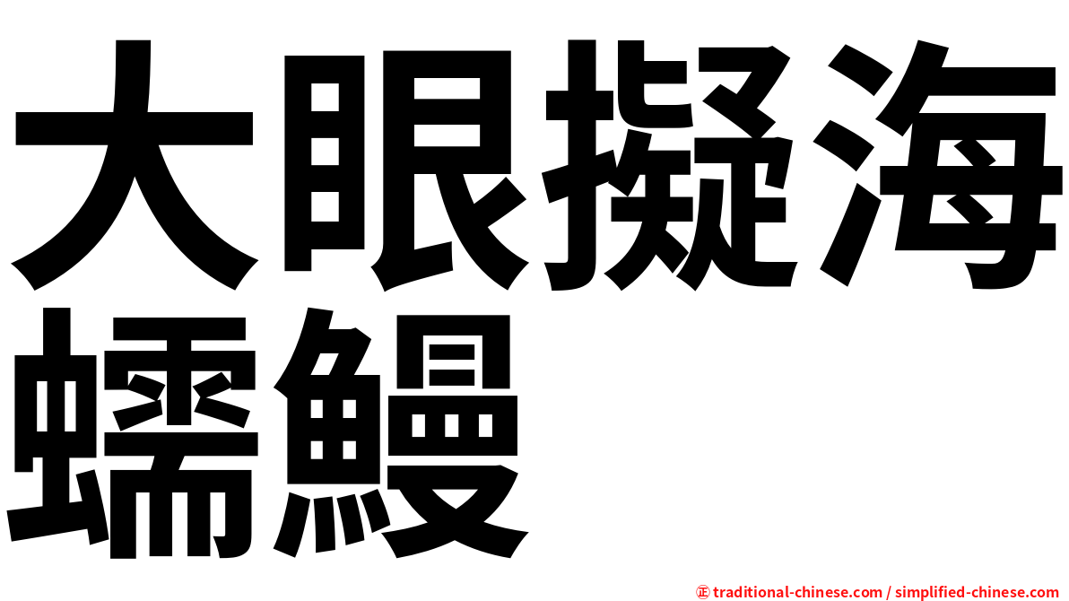 大眼擬海蠕鰻