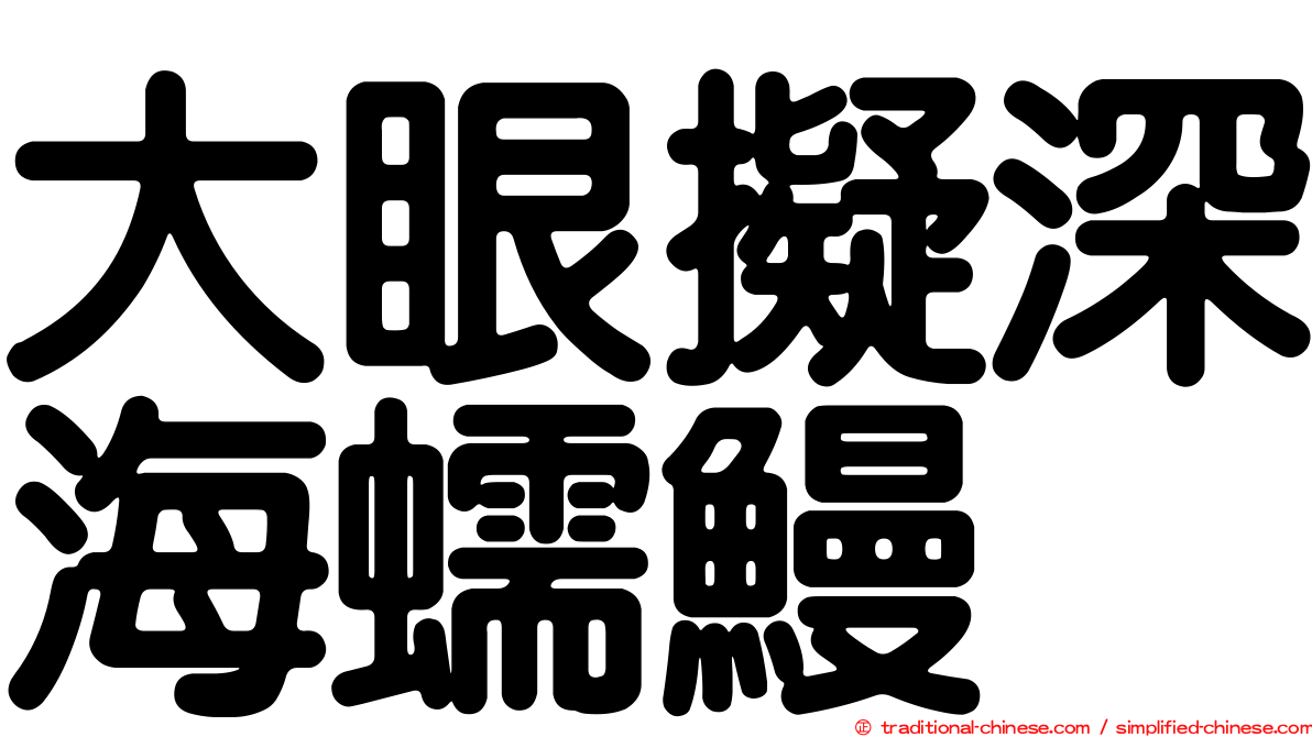 大眼擬深海蠕鰻
