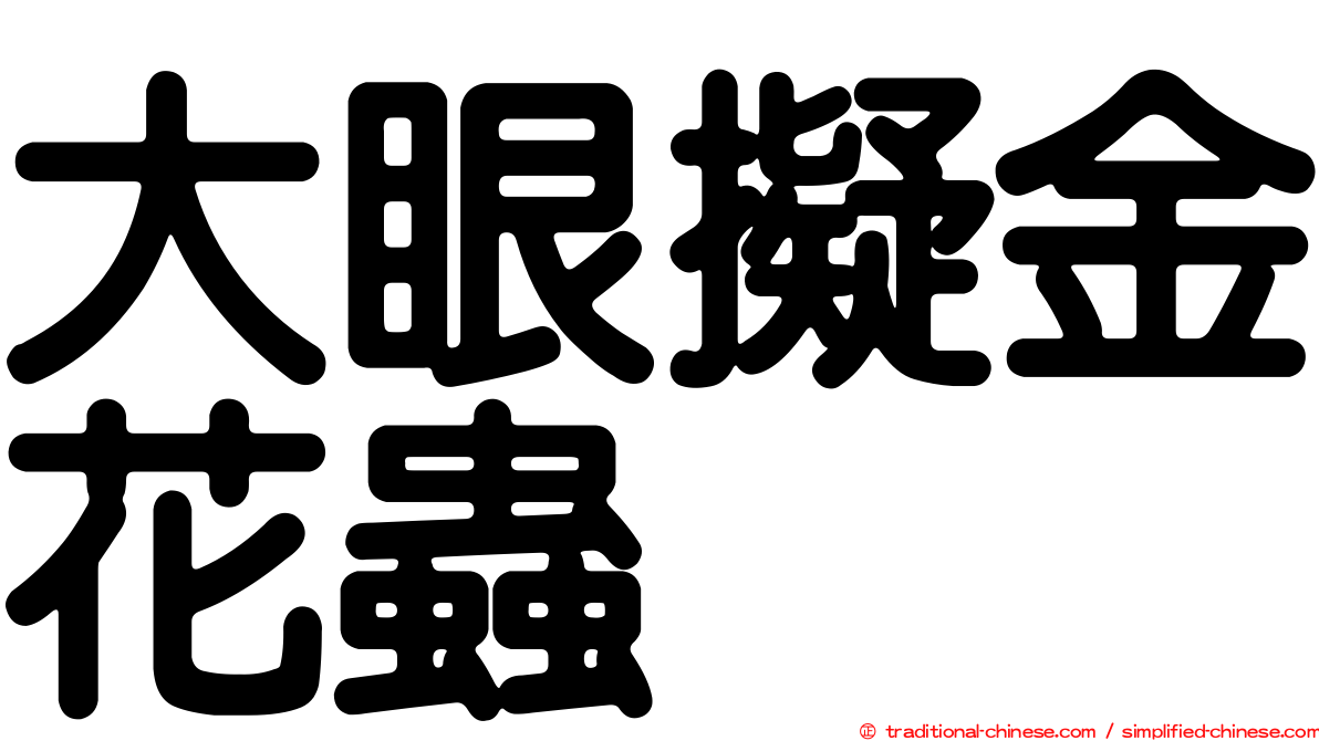 大眼擬金花蟲