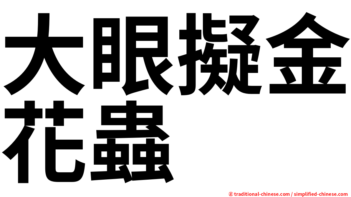 大眼擬金花蟲