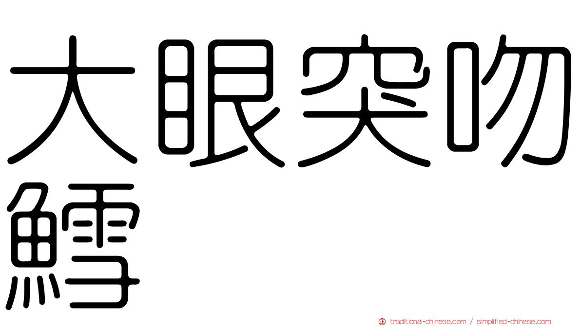 大眼突吻鱈