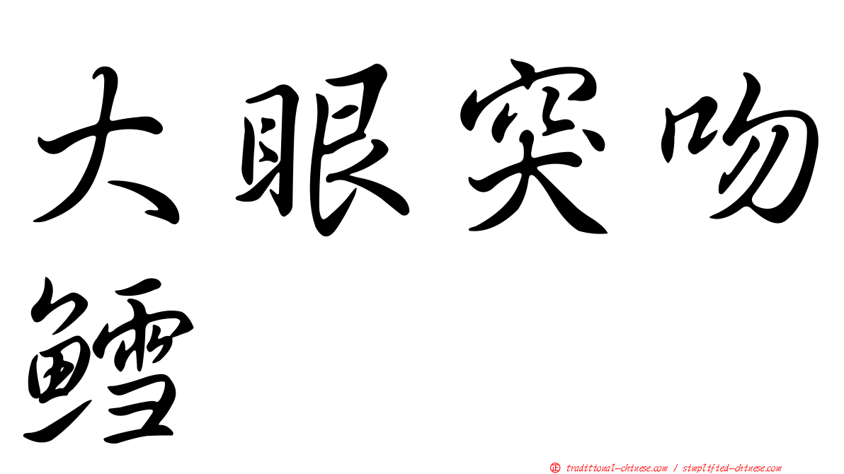 大眼突吻鱈