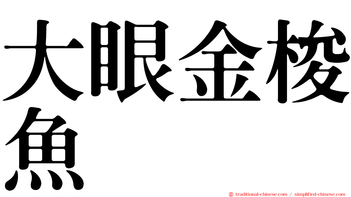 大眼金梭魚