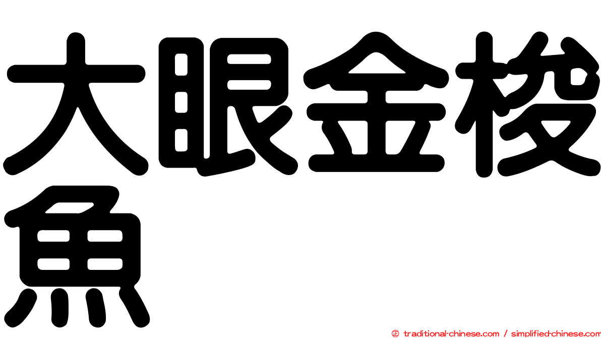 大眼金梭魚