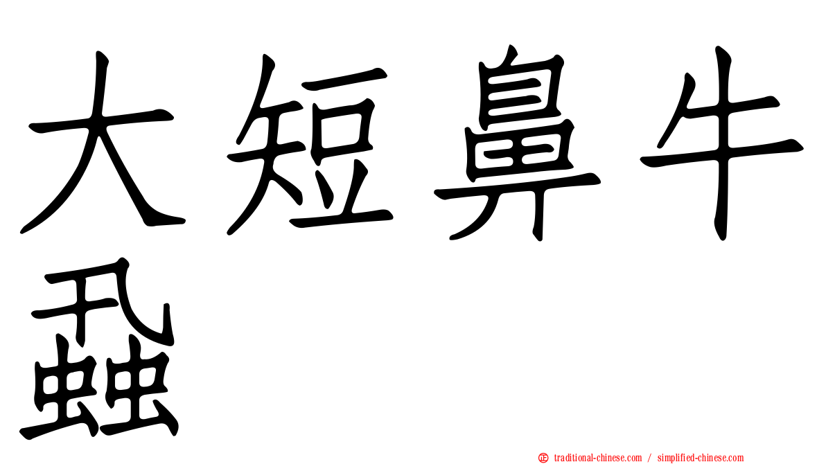 大短鼻牛蝨