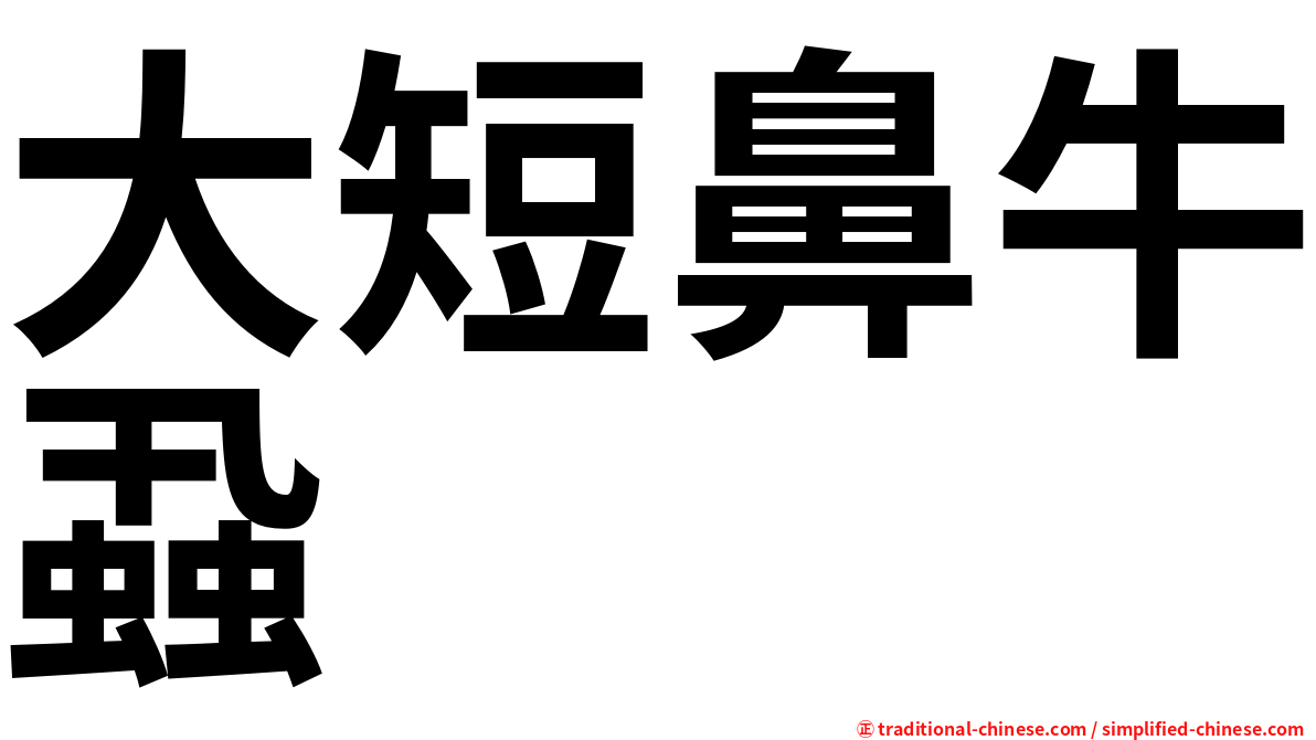 大短鼻牛蝨