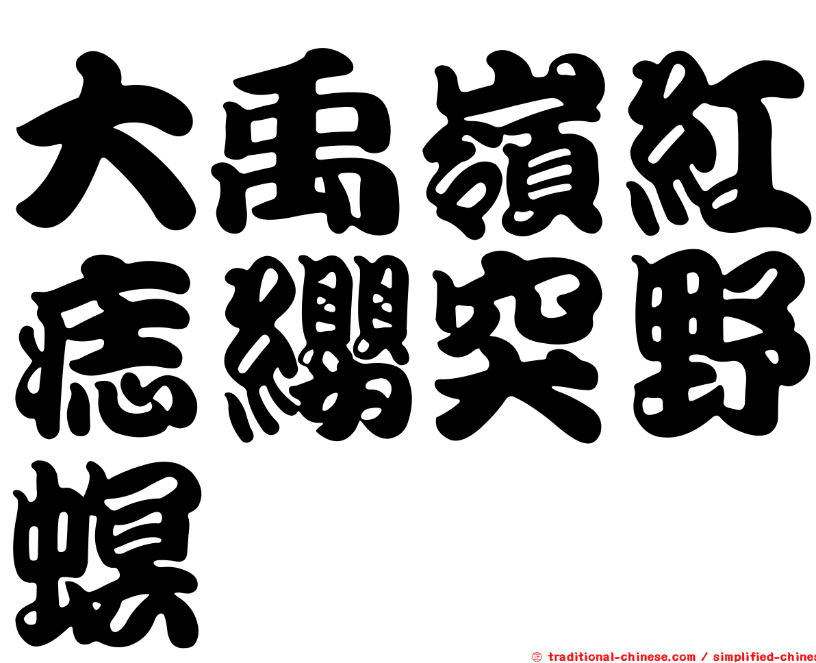 大禹嶺紅痣纓突野螟