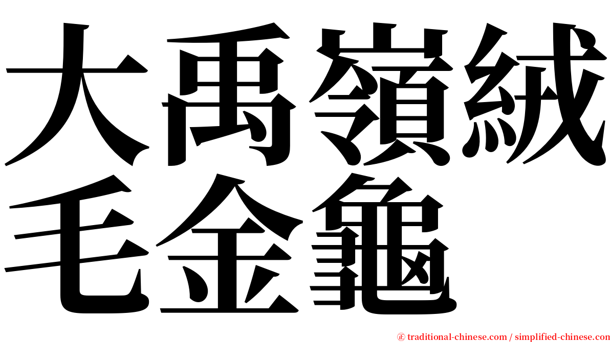 大禹嶺絨毛金龜 serif font