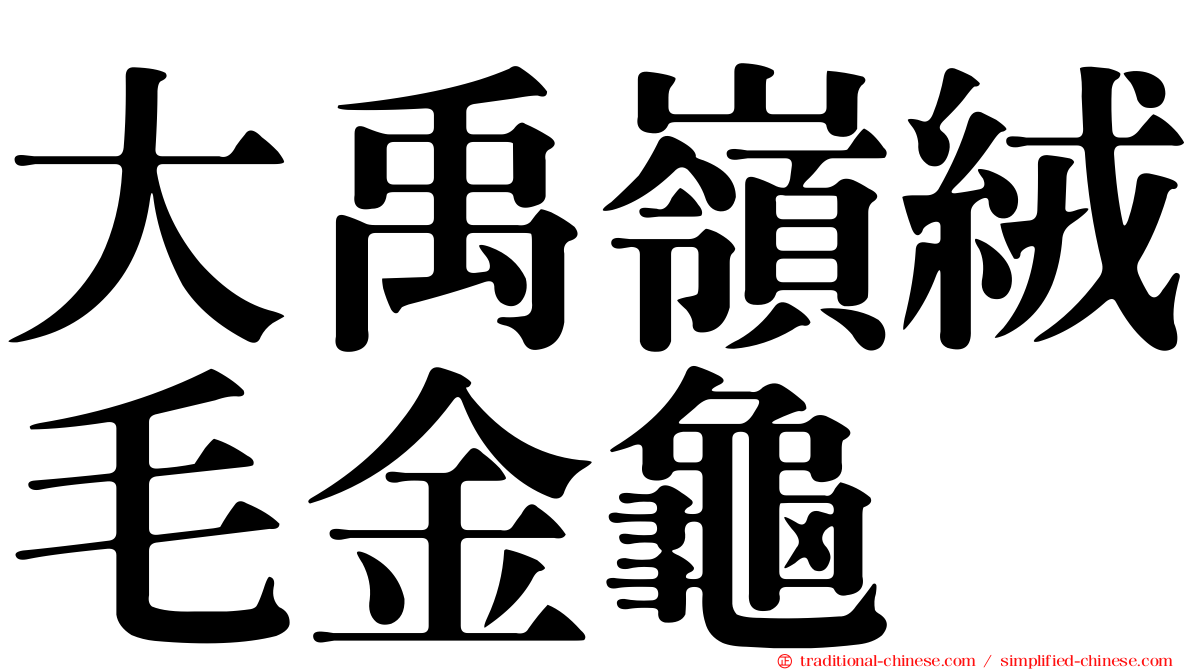 大禹嶺絨毛金龜