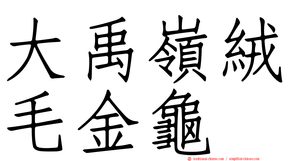 大禹嶺絨毛金龜
