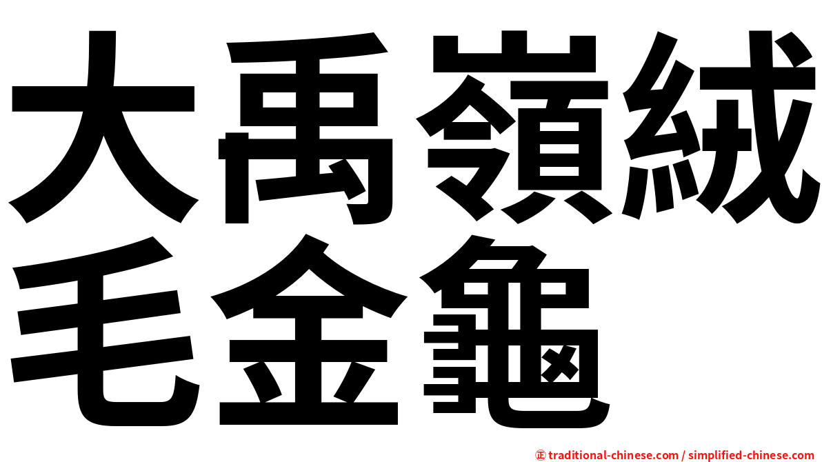 大禹嶺絨毛金龜
