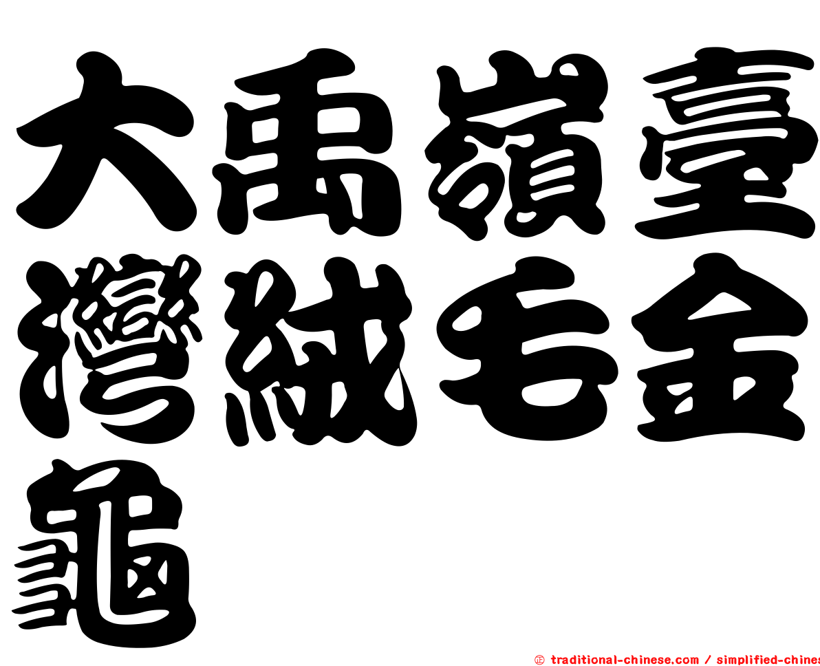 大禹嶺臺灣絨毛金龜