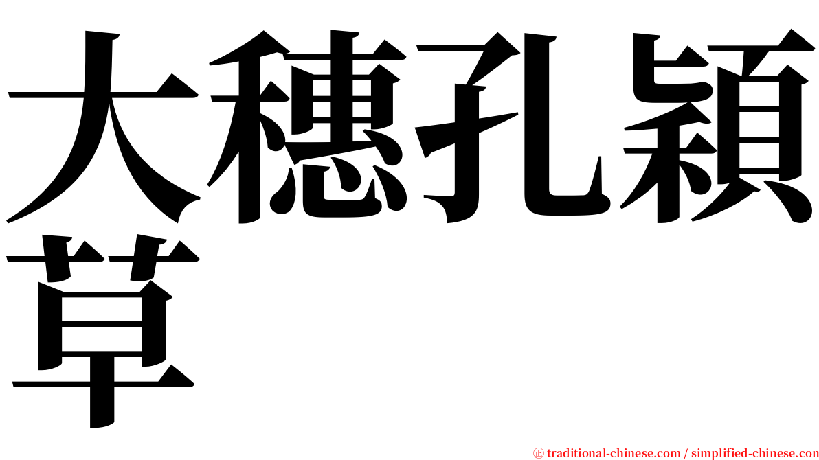 大穗孔穎草 serif font